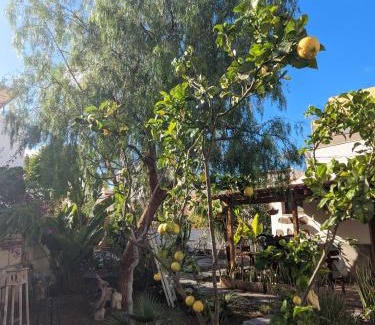 Valle de San Lorenzo Apartment | Casa Roberta Aire