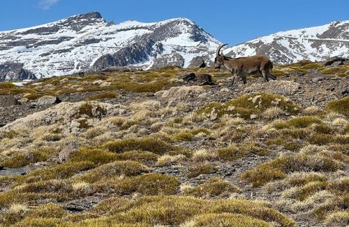 Trevelez Apartment | Casa Rosa