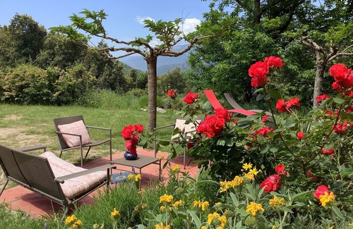 Tavera House | Casa Rossa is a large family house surrounded by greenery!