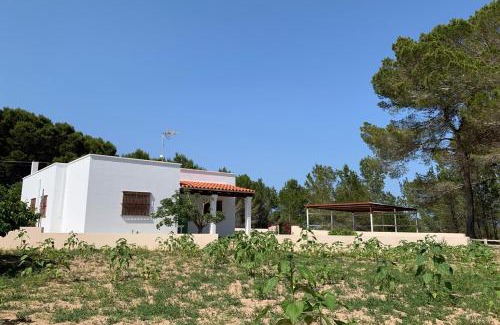 Sant Francesc Xavier House | Casa rural Can Pep de Sa Barda - Entre viñedos - Formentera Natural