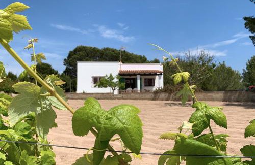 Sant Francesc Xavier House | Casa rural Can Pep de Sa Barda - Entre viñedos - Formentera Natural