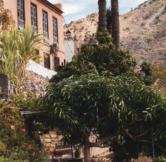 Vallehermoso House | Casa rural Los Madroños