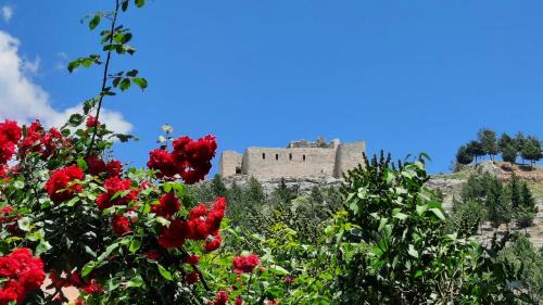 Beteta House | Casa rural Marcelina