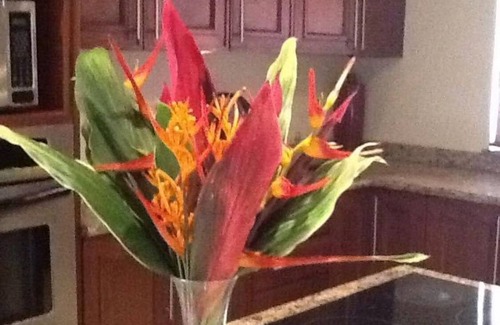 Camaronal House | Casa Safari Maganda located in the middle ofnparadise.