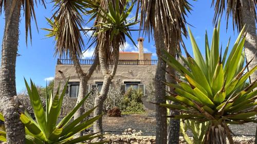 Tetir House | Casa Surf La Higuerita