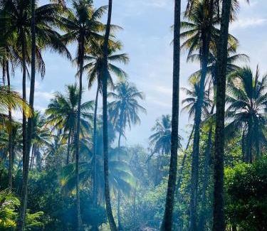 Velha Boipeba Cabin | Casa Tassimirim