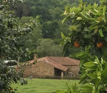 Vila de Cruces House | Casa Torres