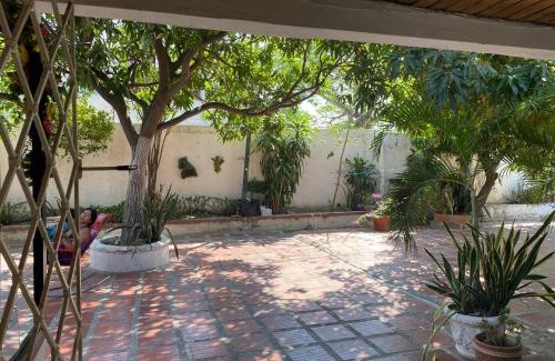 Mamatoco House | Casa Vecina Hostal