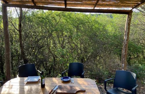 Agua de Oro House | Casa Voladora Cerro Azul