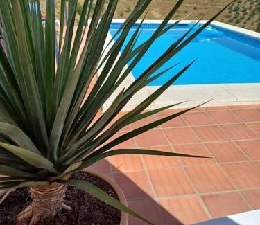 Sedella Apartment | Casa Wenne - Private Pool with view
