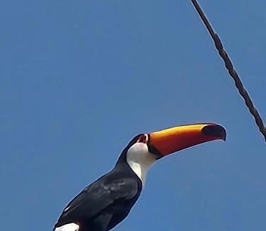 Sao Silvestre de Jacarei House | Casaazulvaleparaiba