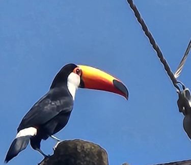 Sao Silvestre de Jacarei House | Casaazulvaleparaiba