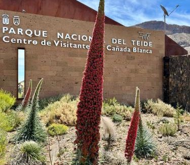 Adeje Apartment | CASANTILVIA heated pool paradise