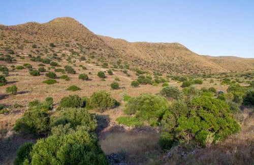 Los Albaricoques House | Casas Rurales La Minilla