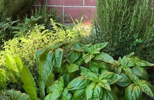 Fossano Bed & Breakfast | Cascina 'La Giardina'