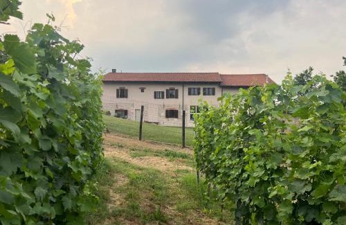 Farigliano Apartment | Cascina Mabette