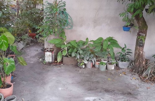 Velha Boipeba House | Casinha do Pedro - 20 Minuros da Praia da Cueira, 15 Minutos do Porto