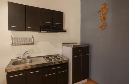 La Paz House | Casita Tiburón