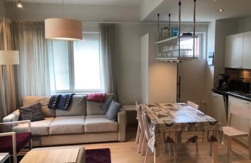 Saariselka Apartment | Castillo Kelotähti Apartment