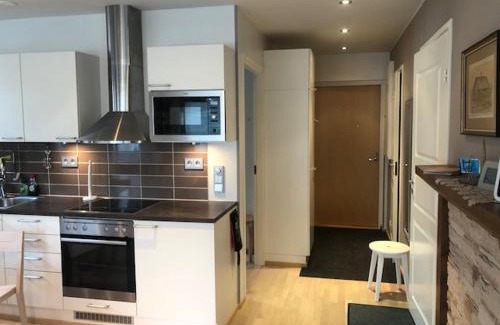 Saariselka Apartment | Castillo Kelotähti Apartment