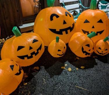 Belfast Apartment | Cavehill city view