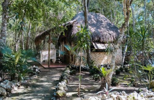 Jimenez Other | Cavelands become one with nature