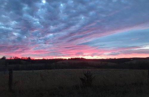Marshall Other | Cedar cabin located on a buffalo farm