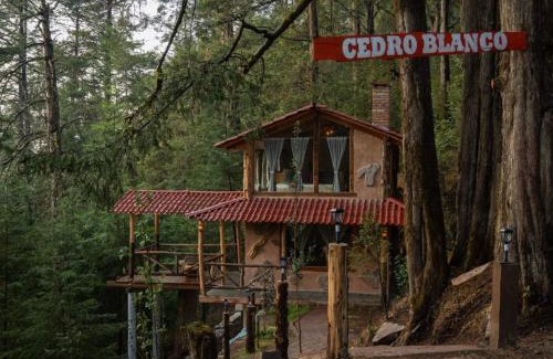 Mineral del Chico Other | Cedro B