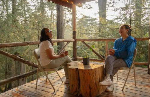 Mineral del Chico Other | Cedro B