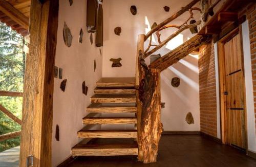 Mineral del Chico Other | Cedro B