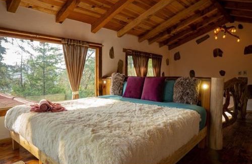 Mineral del Chico Other | Cedro B