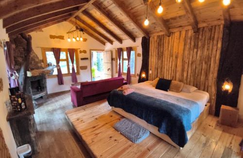 Mineral del Chico Other | cedro