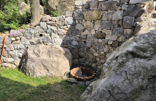 Mineral del Chico Other | cedro