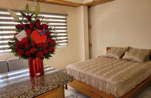 Constanza Apartment | Center Point Mono ambiente en Constanza