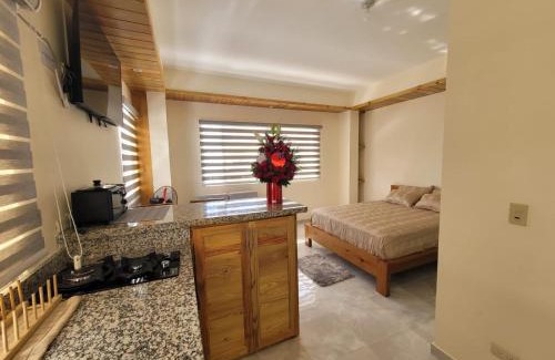 Constanza Apartment | Center Point Mono ambiente en Constanza