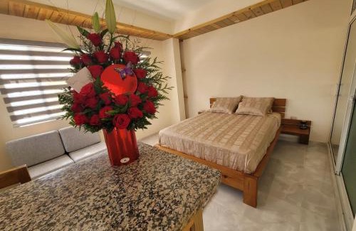 Constanza Apartment | Center Point Mono ambiente en Constanza