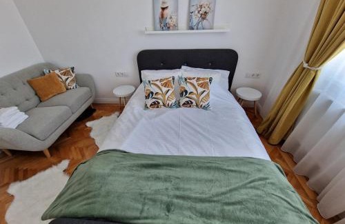 Tirgu Mures Apartment | Central 17