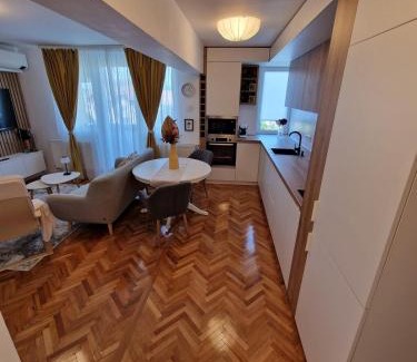 Tirgu Mures Apartment | Central 17