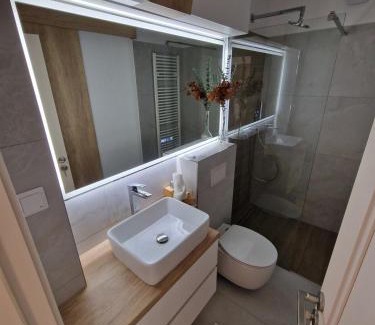 Tirgu Mures Apartment | Central 17