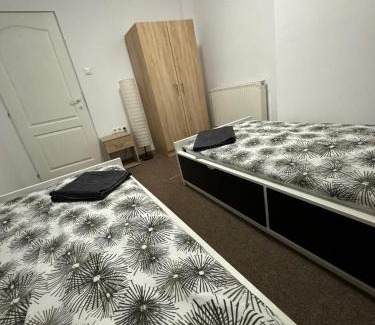 Tirgu Mures Apartment | Central apartment for 7