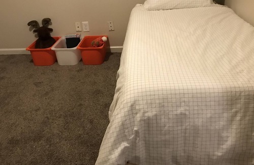Carbondale House | Centrally located and family friendly.