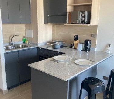 Los Angeles Apartment | Centrico Depto nuevo 1D1B estacionamiento