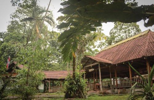 Jimenez Hotel | Centro Manú