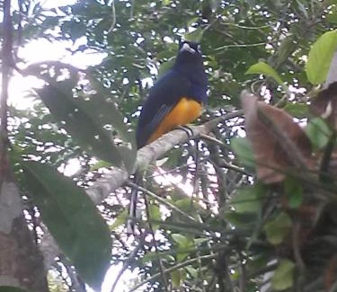 Itanhaem House | Chácara Recanto dos recantos