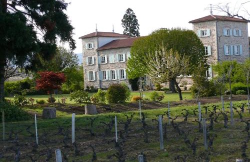 Blace Bed & Breakfast | Château de Grandmont Chambres d'hôtes