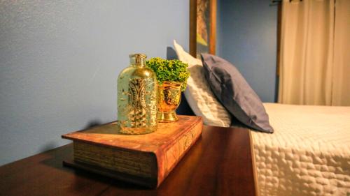 Timbe do Sul Ski Chalet | Chalé Casa de Pedra, Vivenda Serra Velha, Chalés de Montanha