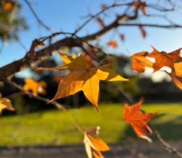Rolante House | Chalé Celeiro em frente ao lago