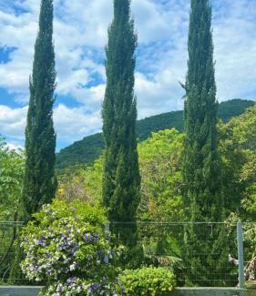 Carniel House | Chalé cipreste 3 Quartos