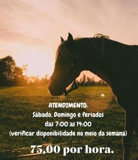 Corrego do Bom Jesus House | Chalé Mirante da Colina 10 com hidro privativa, café da manhã e piscina