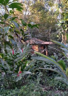 Paraty Cabin | Chalé O Canto dos Pássaro